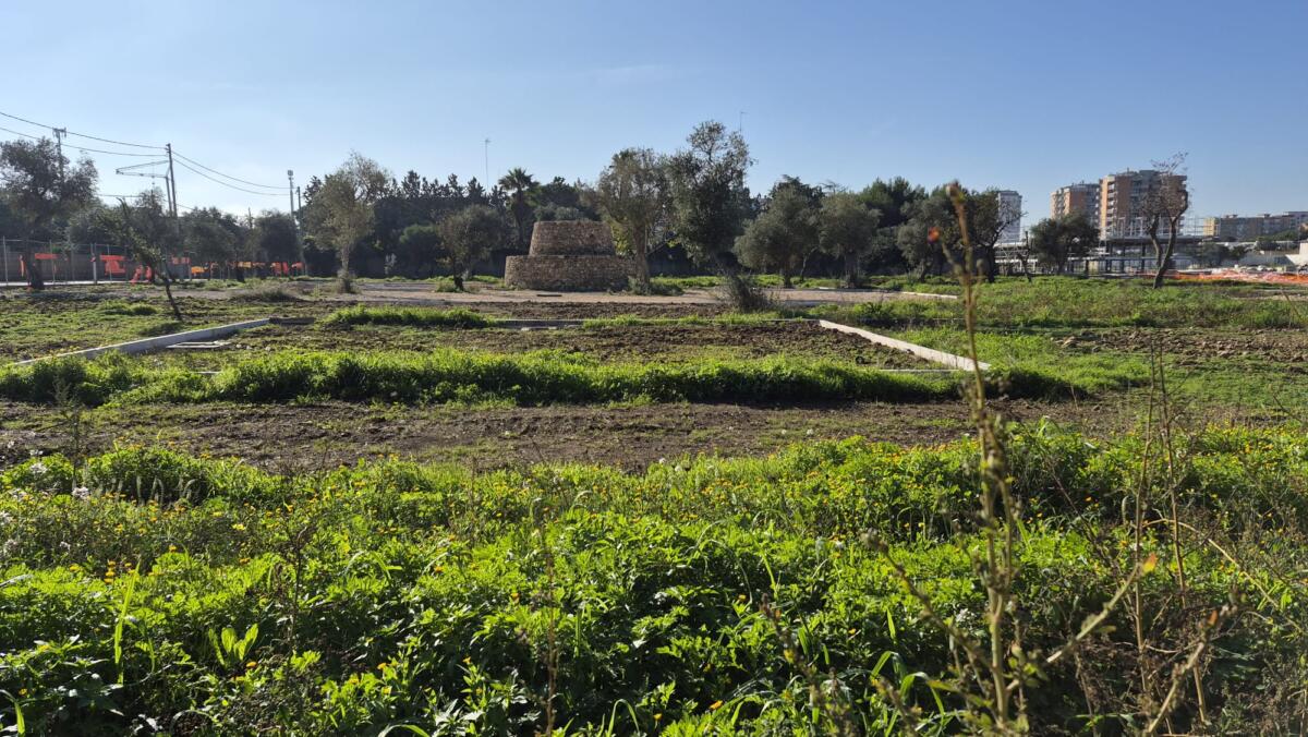 Galleria foto 'Bari, proseguono i lavori a Costa Sud: «Sarà il parco cittadino più grande d’Europa» – FOTO e VIDEO' - foto 2