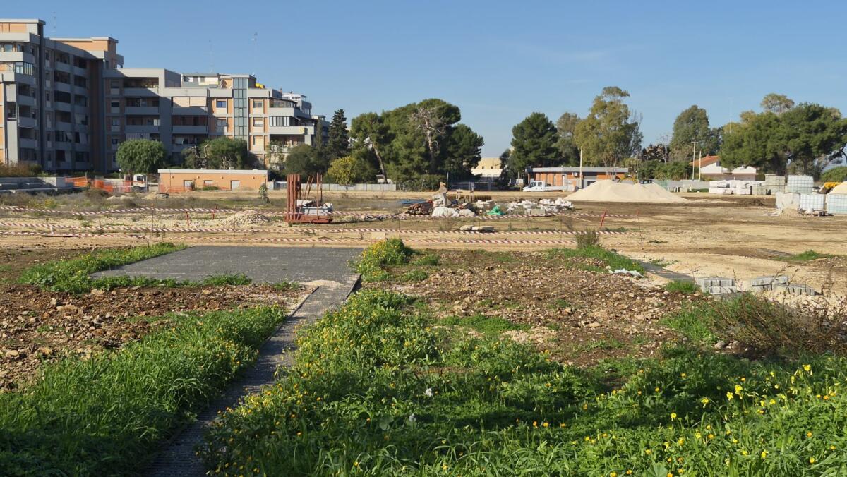 Galleria foto 'Bari, proseguono i lavori a Costa Sud: «Sarà il parco cittadino più grande d’Europa» – FOTO e VIDEO' - foto 3