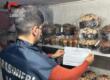 Prodotti al Nord, venduti come artigianali a Brindisi: sequestrati centinaia di panettoni. Chiusa anche una “gelateria per cani”
