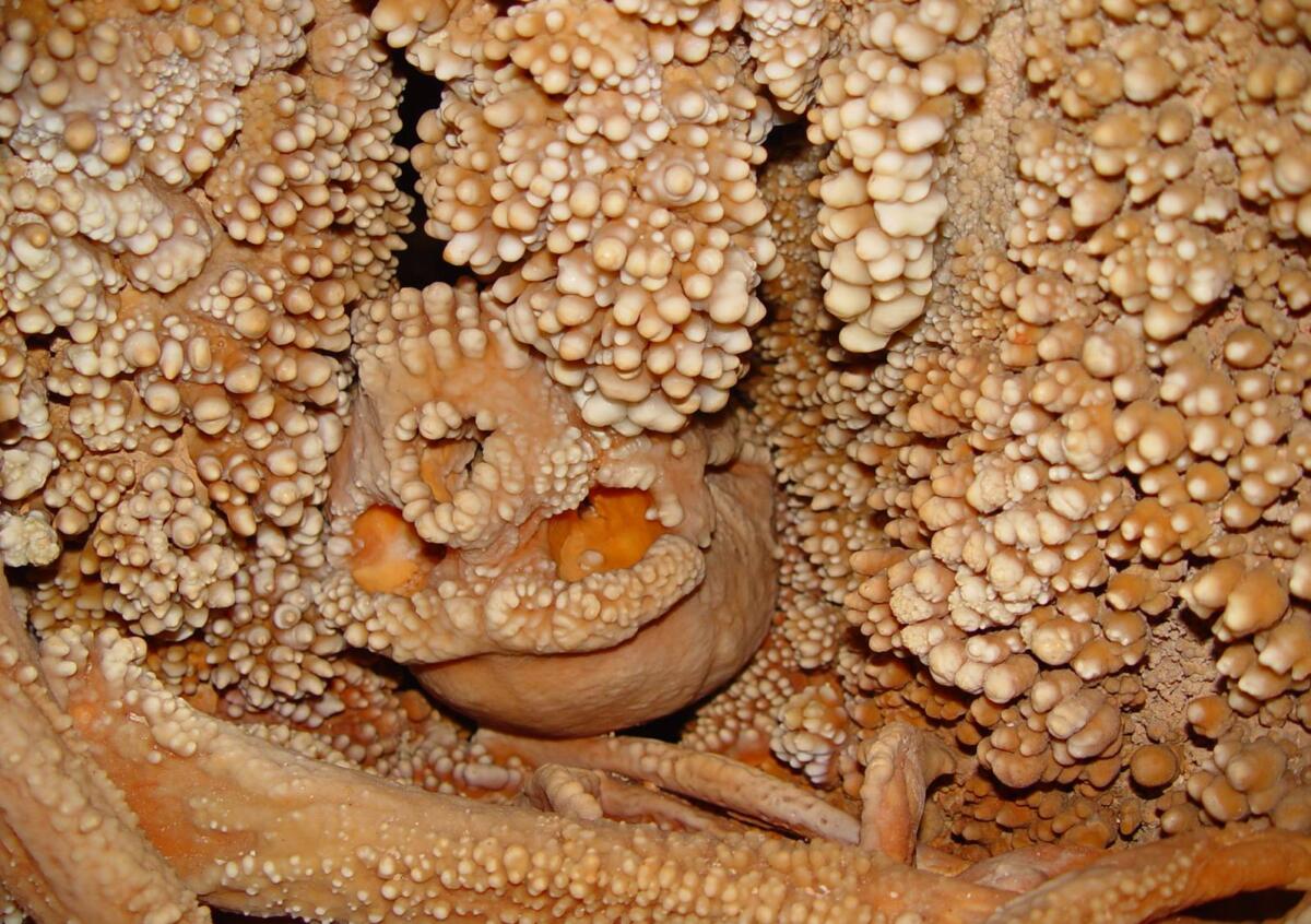 Galleria foto 'Le grotte carsiche pugliesi candidate a patrimonio Unesco, via all’iter: «Archivi viventi di memoria»' - foto 1
