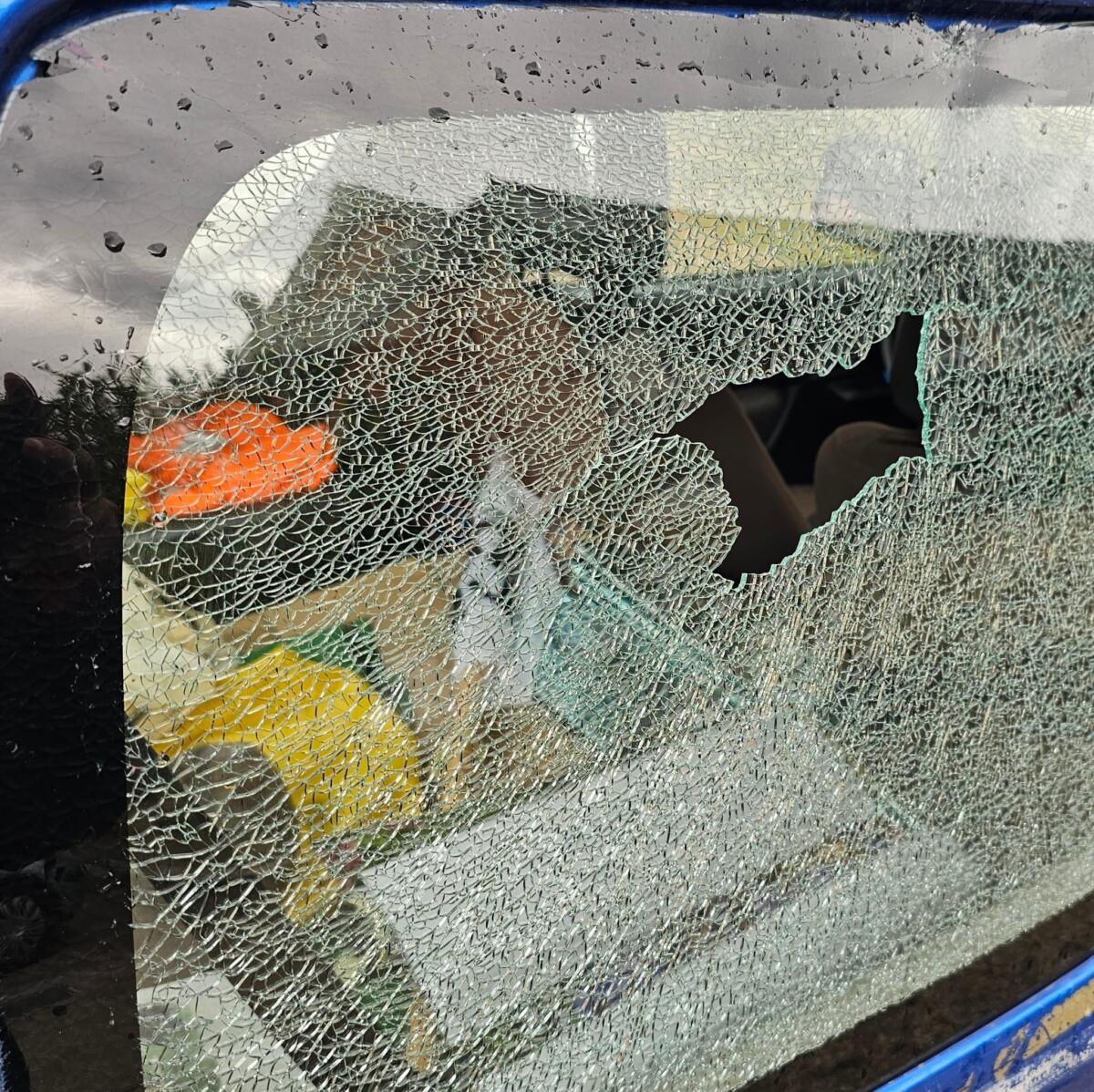 Galleria foto 'Foggia, danneggiata l’auto del responsabile provinciale del Wwf: «Da mesi nel mirino dei vandali» – FOTO' - foto 3