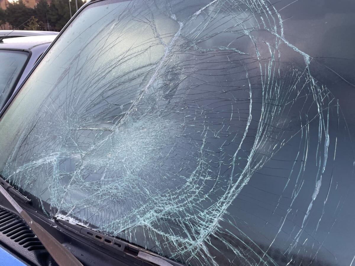 Galleria foto 'Foggia, danneggiata l’auto del responsabile provinciale del Wwf: «Da mesi nel mirino dei vandali» – FOTO' - foto 4