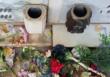 Saccheggiato il cimitero di Mola di Bari, rubati i portafiori. Il sindaco: «Senza scrupoli»