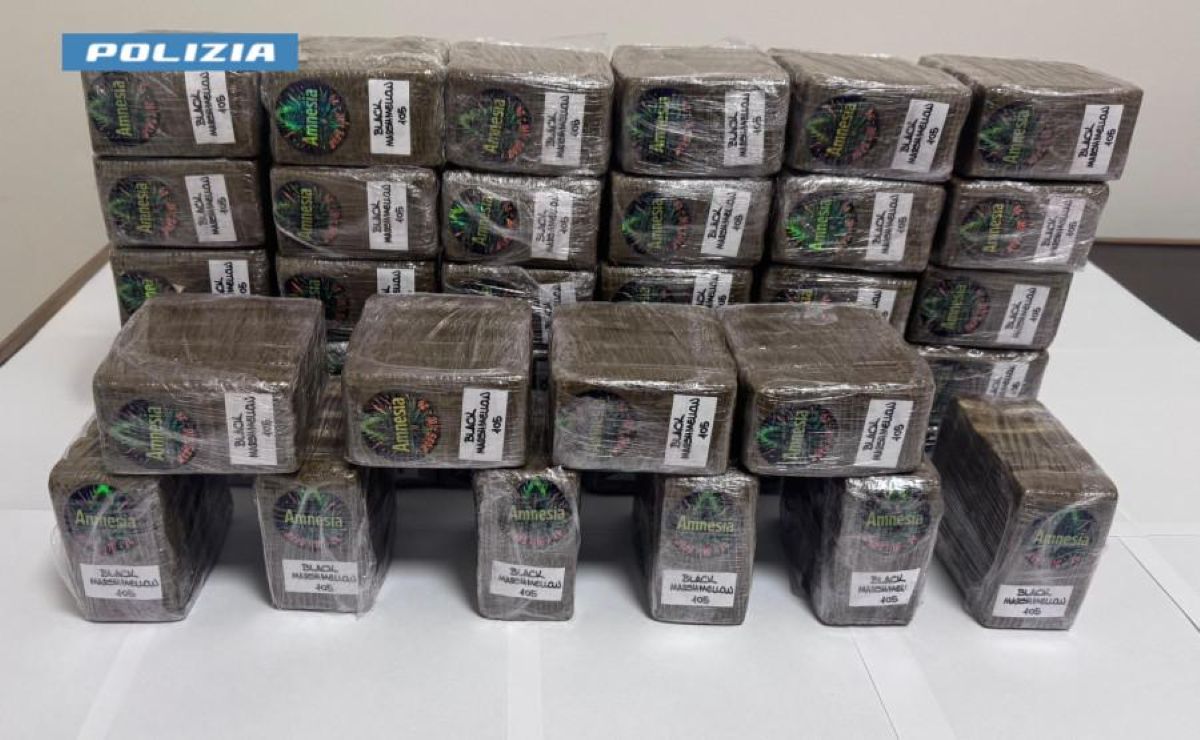 Galleria foto 'Francavilla Fontana, fermato con 20 chili di hashish nel bagagliaio dell’auto: arrestato corriere della droga 22enne' - foto 1