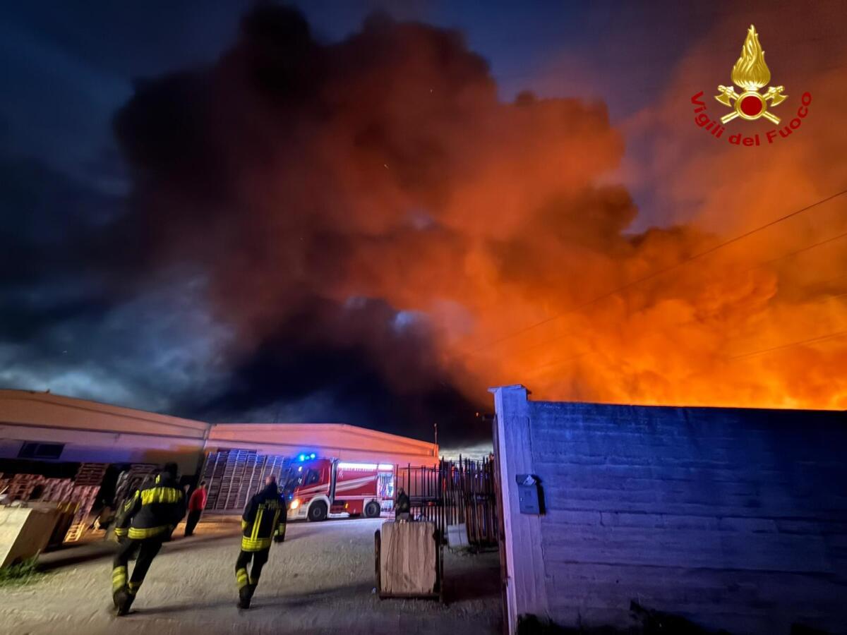 Vasto incendio nella notte a Palo del Colle: a fuoco un’azienda di smaltimento rifiuti – VIDEO Vasto incendio nella notte a Palo del Colle: a fuoco un’azienda di smaltimento rifiuti – VIDEO