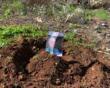 Un ulivo per Manlio Epifania nella terra di Palestina: il gesto simbolico a Nablus nel giorno di Natale