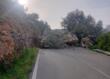 Mattinata, grosso masso si stacca dalla montagna e precipita sulla statale: strada chiusa al traffico