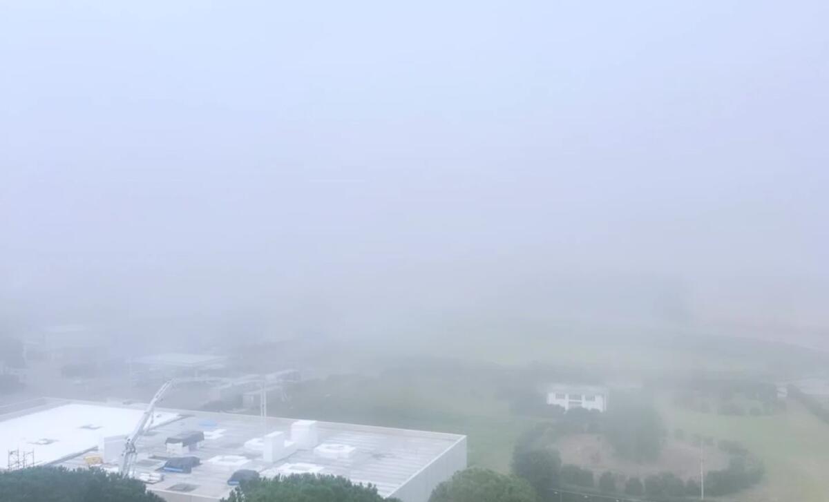 Galleria foto 'Un banco di nebbia avvolge la Puglia: 13 voli per Bari e Brindisi dirottati' - foto 3