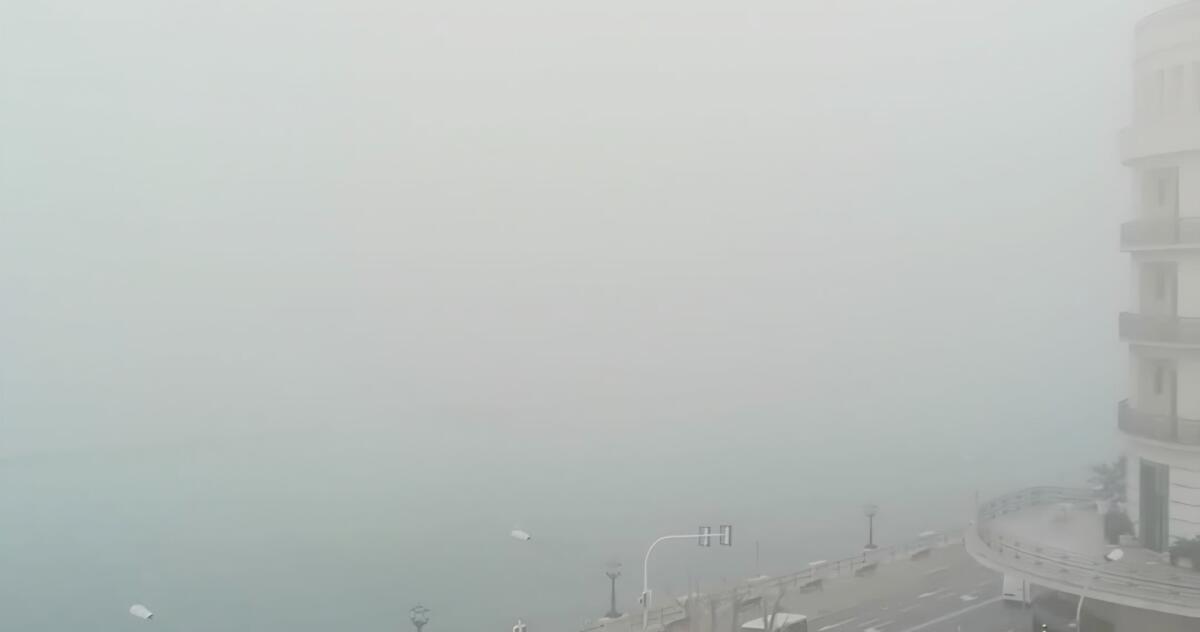Galleria foto 'Un banco di nebbia avvolge la Puglia: 13 voli per Bari e Brindisi dirottati' - foto 2