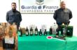 Fasano, olio di semi venduto come extravergine d’oliva: denunciato un commerciante