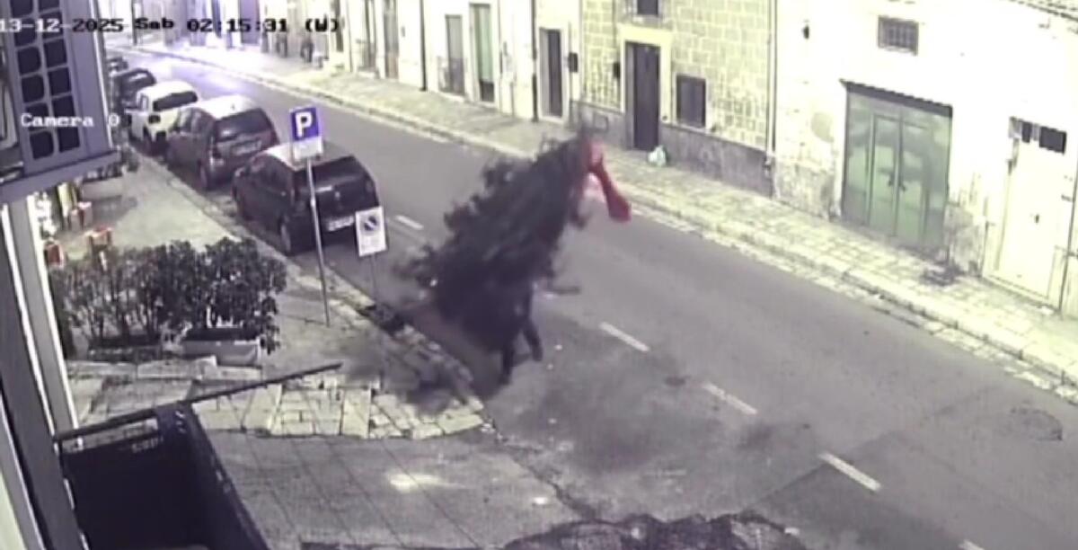 Galleria foto 'Oria, ruba un albero di Natale e scappa: il ladro ripreso dalle telecamere – VIDEO' - foto 1
