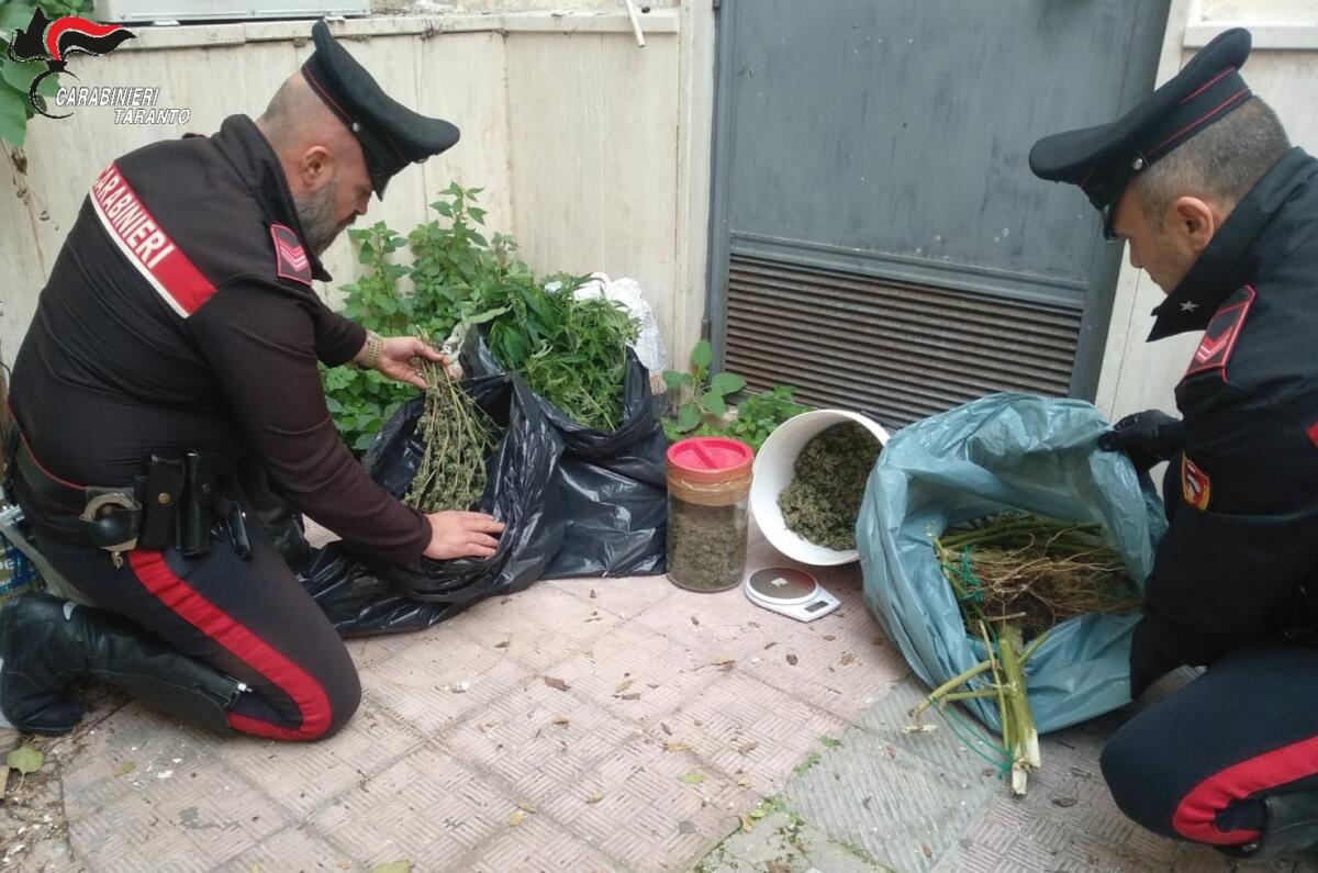 Galleria foto 'Leporano, in casa ha sette chili di marijuana tra garage e cortile: arrestato un 51enne' - foto 1