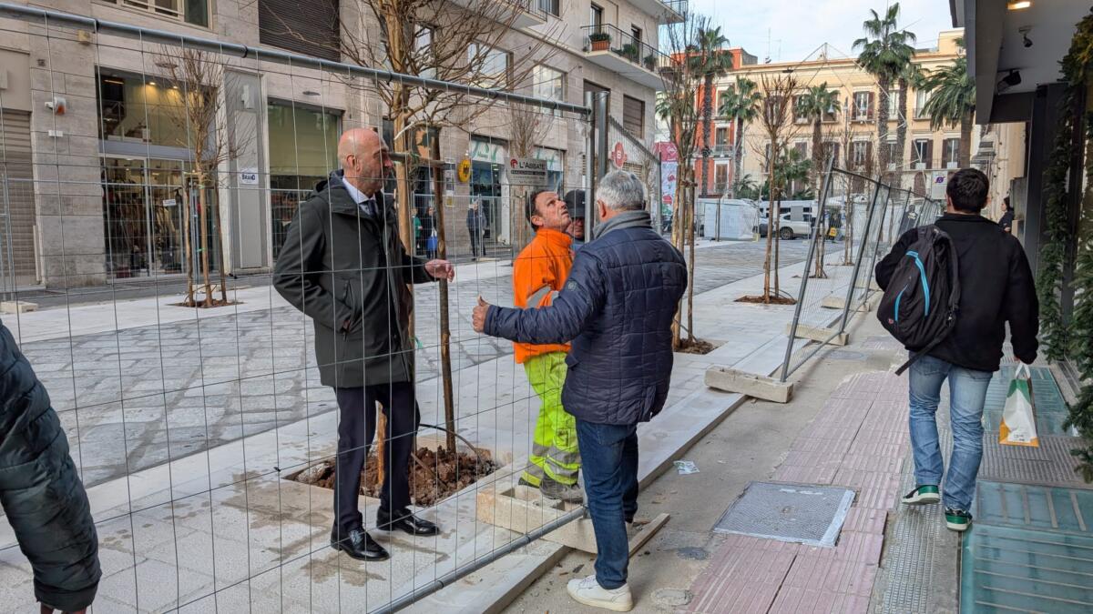 Galleria foto 'Bari, il nuovo volto di via Argiro : via le recinzioni dal primo isolato' - foto 5