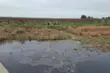 Foggia, allarme «disastro ecologico» sulla Sp 66: torrente soffocato da liquami e rifiuti