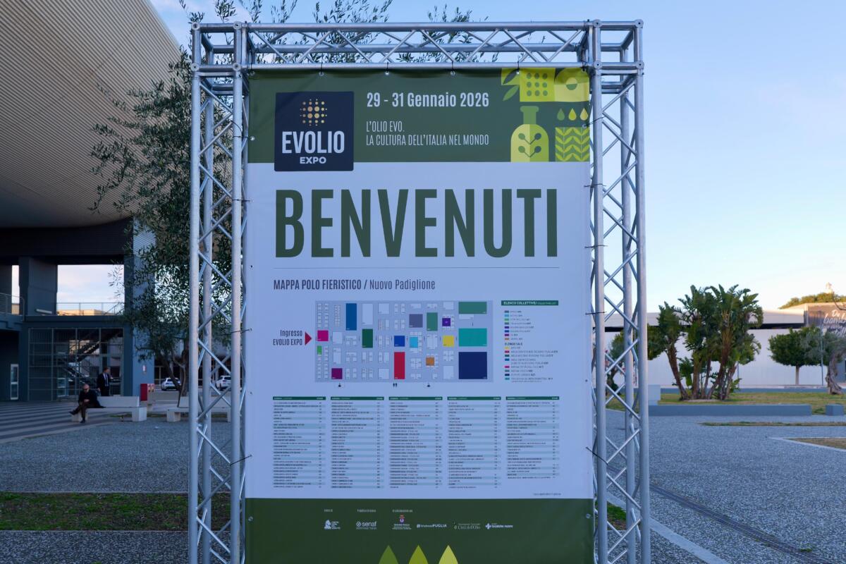 Galleria foto 'Bari, Decaro visita Evolio Expo: «Olivicoltura strategica per la Puglia. La Xylella? Collaboriamo per frenare il batterio» – VIDEO' - foto 5