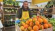 Coldiretti Puglia: agrumi e frutta di stagione per fare il pieno di vitamina C e salute in inverno