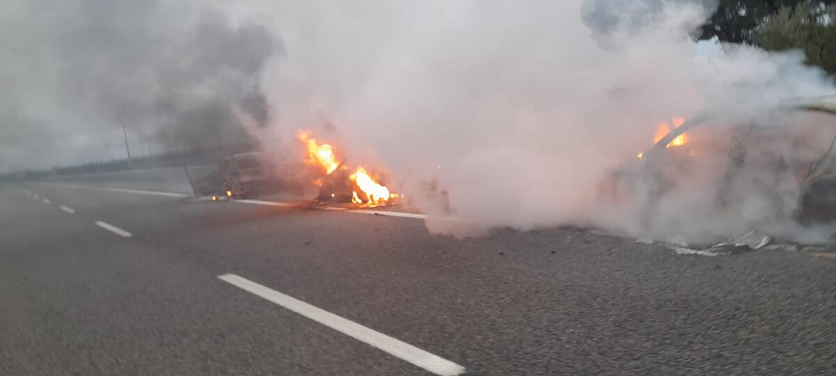 Assalto al portavalori sulla A14 nel Foggiano, l’autostrada riaperta al traffico dopo ore Assalto al portavalori sulla A14 nel Foggiano, l’autostrada riaperta al traffico dopo ore