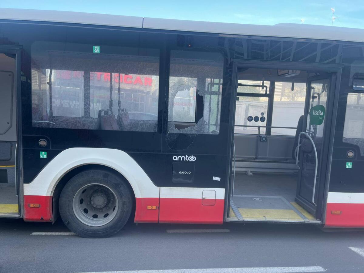 Galleria foto 'Bari, attacco a un bus Amtab e passeggero ferito: fermato il responsabile' - foto 1