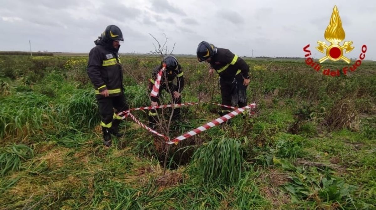 Brindisi, cane cade in un pozzo profondo 6 metri: salvato dai vigili del fuoco dopo una notte al freddo – VIDEO
