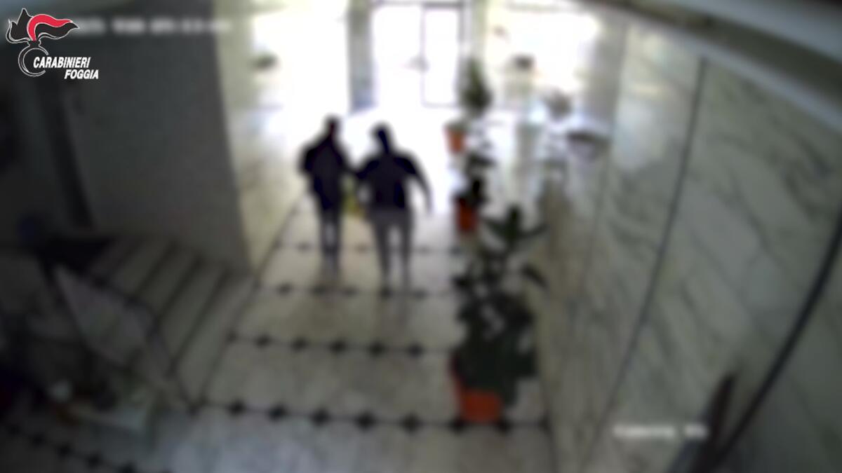 Galleria foto 'Traffico di droga nel Foggiano: nove arresti per spaccio di cocaina e hashish – VIDEO' - foto 1