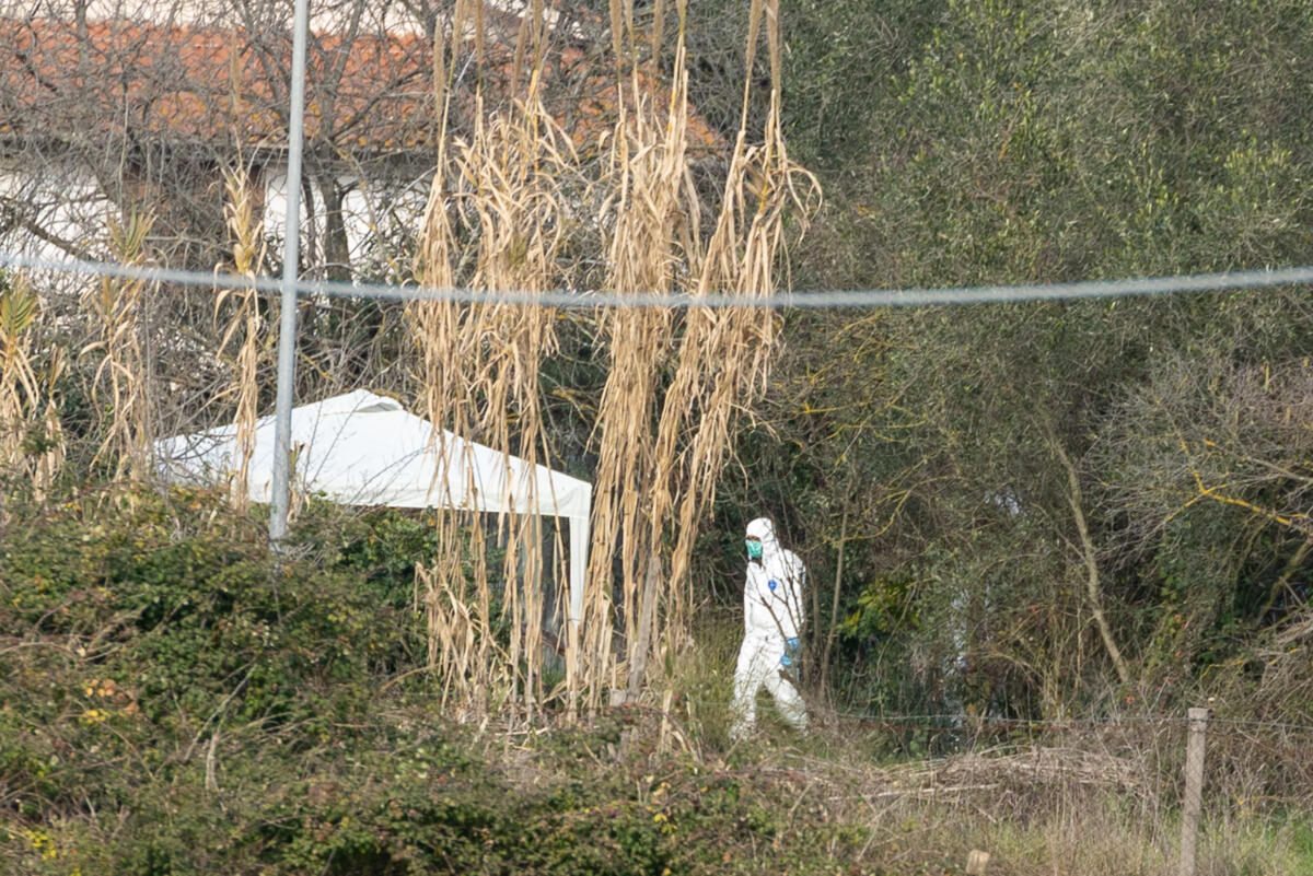 Femminicidio di Anguillara: Federica accoltellata 23 volte, spogliata e schiacciata da una scavatrice Femminicidio di Anguillara: Federica accoltellata 23 volte, spogliata e schiacciata da una scavatrice