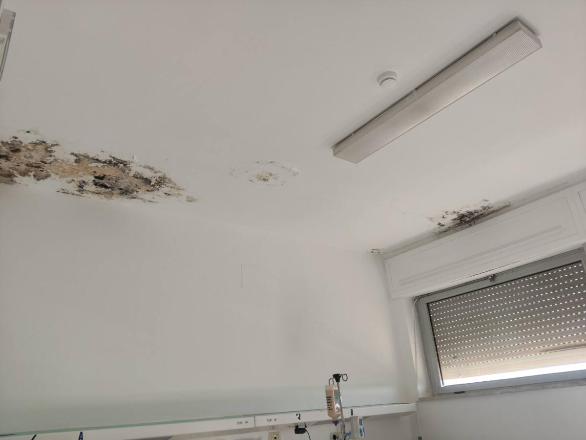 Scorrano, degrado in ospedale: «Mia madre ricoverata tra infiltrazioni e muffe. Regione e Asl intervengano» – FOTO Scorrano, degrado in ospedale: «Mia madre ricoverata tra infiltrazioni e muffe. Regione e Asl intervengano» – FOTO