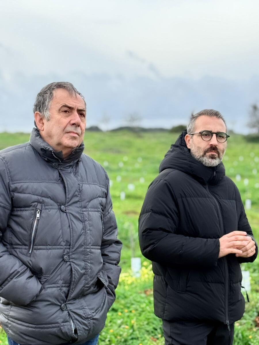 Galleria foto 'Xylella, la sfida della rinascita parte da San Vito dei Normanni. Paolicelli: «Qui 20mila nuovi ulivi resistenti» – VIDEO' - foto 3