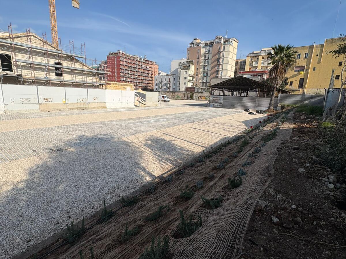 Bari, nuovo parcheggio temporaneo da 206 posti nell’ex Rossani: al via lunedì Bari, nuovo parcheggio temporaneo da 206 posti nell’ex Rossani: al via lunedì