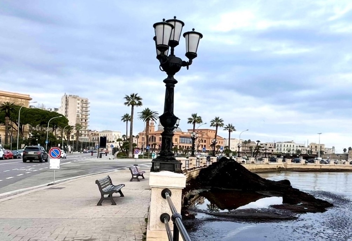 Galleria foto 'Posidonia depositata sul lungomare di Bari: al via dal 7 al 9 gennaio la rimozione' - foto 1