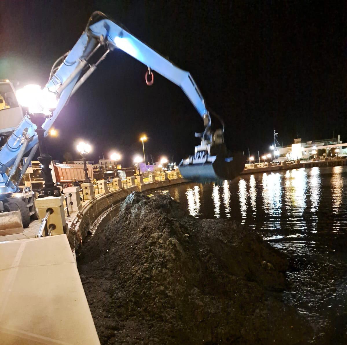 Bari, via alle operazioni di rimozione della posidonia dal molo San Nicola: l’Amiu al lavoro – VIDEO Bari, via alle operazioni di rimozione della posidonia dal molo San Nicola: l’Amiu al lavoro – VIDEO