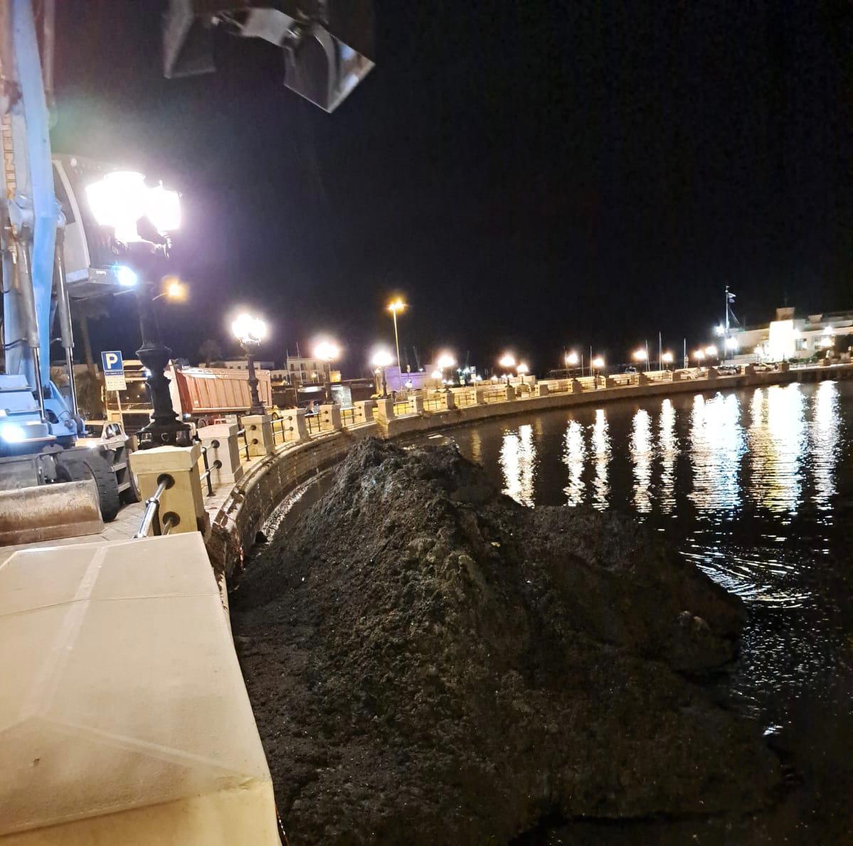Bari, via alle operazioni di rimozione della posidonia dal molo San Nicola: l’Amiu al lavoro – VIDEO Bari, via alle operazioni di rimozione della posidonia dal molo San Nicola: l’Amiu al lavoro – VIDEO