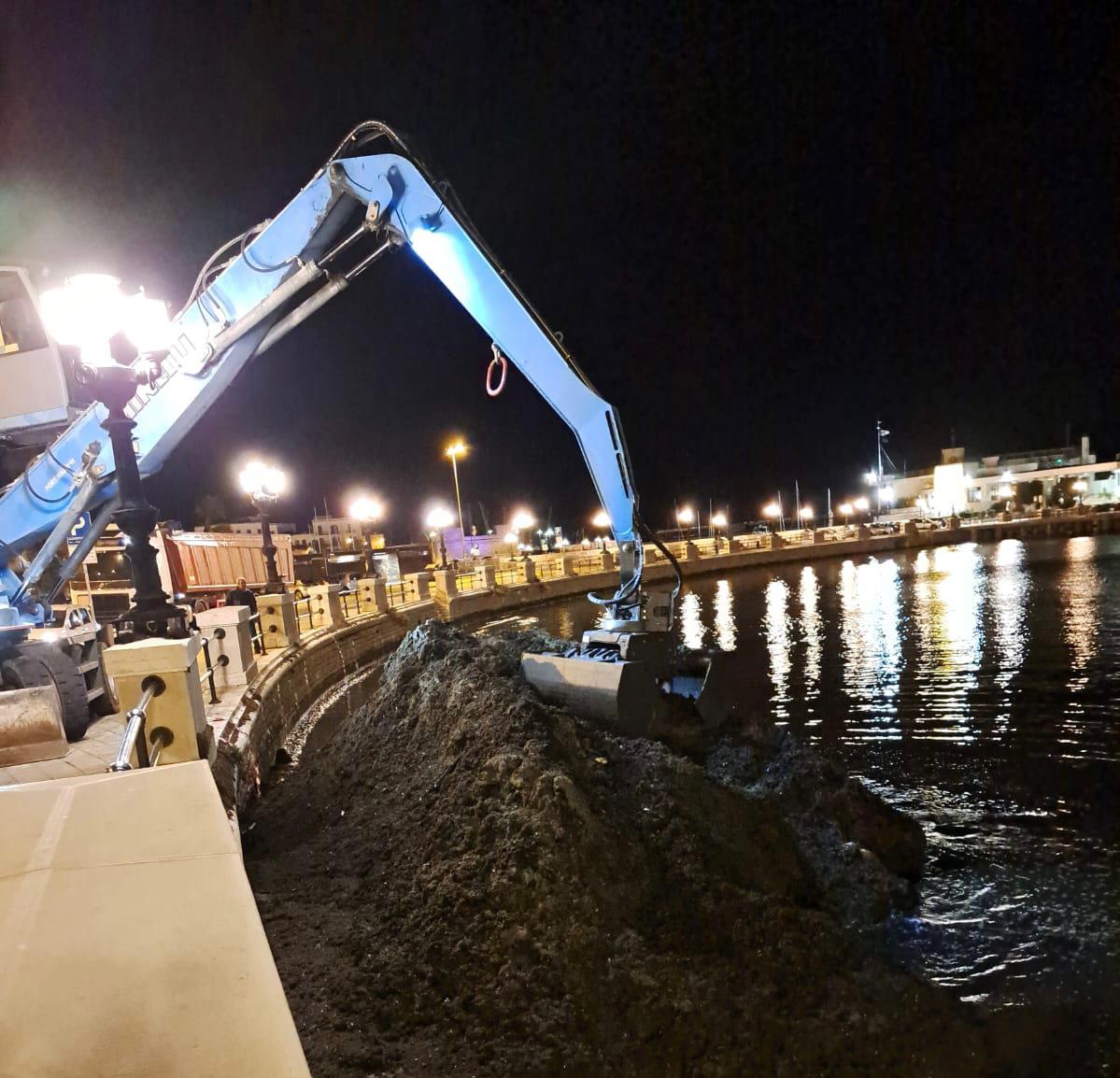 Bari, via alle operazioni di rimozione della posidonia dal molo San Nicola: l’Amiu al lavoro – VIDEO Bari, via alle operazioni di rimozione della posidonia dal molo San Nicola: l’Amiu al lavoro – VIDEO