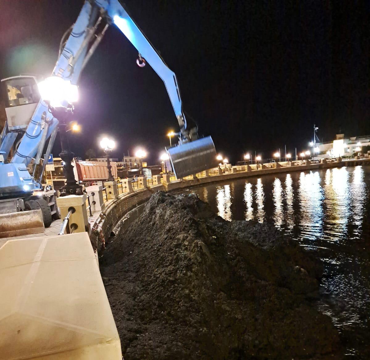Bari, via alle operazioni di rimozione della posidonia dal molo San Nicola: l’Amiu al lavoro – VIDEO Bari, via alle operazioni di rimozione della posidonia dal molo San Nicola: l’Amiu al lavoro – VIDEO