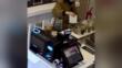 Bari, prende un caffè al bar e ruba la scatola con le mance. I proprietari dell’attività: «Solo vergogna» – VIDEO
