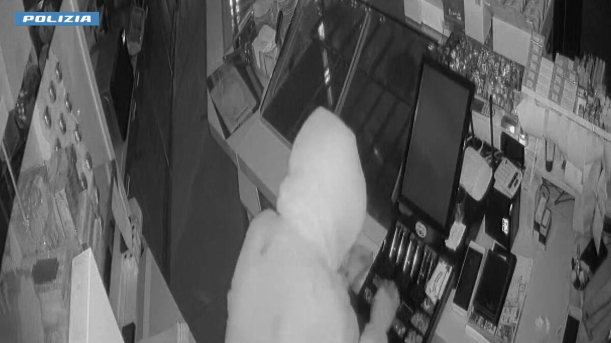 Bari, “spaccate” nei negozi in centro: preso il ladro seriale. In carcere un 37enne marocchino – VIDEO Bari, “spaccate” nei negozi in centro: preso il ladro seriale. In carcere un 37enne marocchino – VIDEO