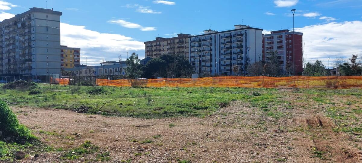 Bari più verde, il “Bosco Sociale” di Loseto prende forma: piantato il 90% degli alberi in una sola settimana Bari più verde, il “Bosco Sociale” di Loseto prende forma: piantato il 90% degli alberi in una sola settimana