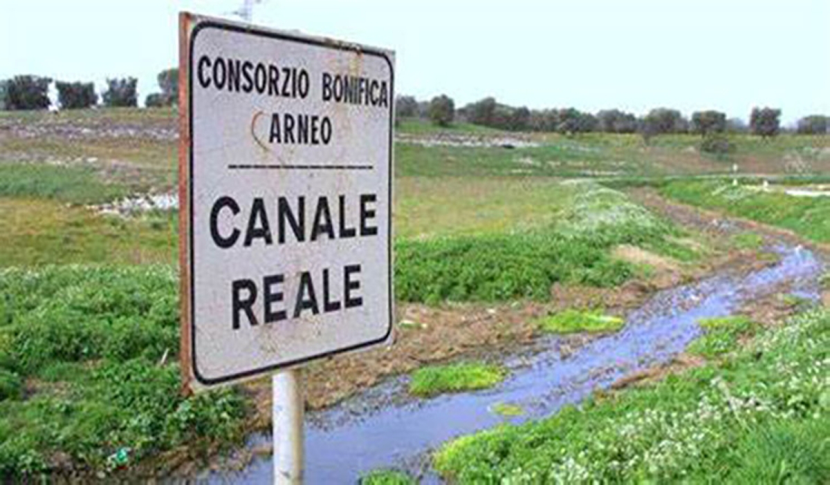 Consorzi di bonifica, in Puglia i meloniani incalzano: «Si riconosca lo stesso beneficio a tutti gli agricoltori» Consorzi di bonifica, in Puglia i meloniani incalzano: «Si riconosca lo stesso beneficio a tutti gli agricoltori»