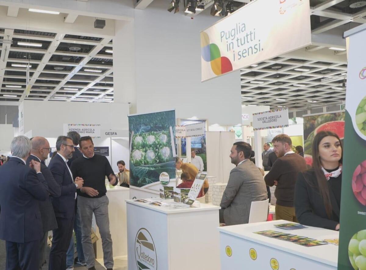 Galleria foto 'La Puglia a Fruit Logistica, regione leader in Italia con 3 mln di tonnellate di ortaggi e primato nell’export' - foto 1
