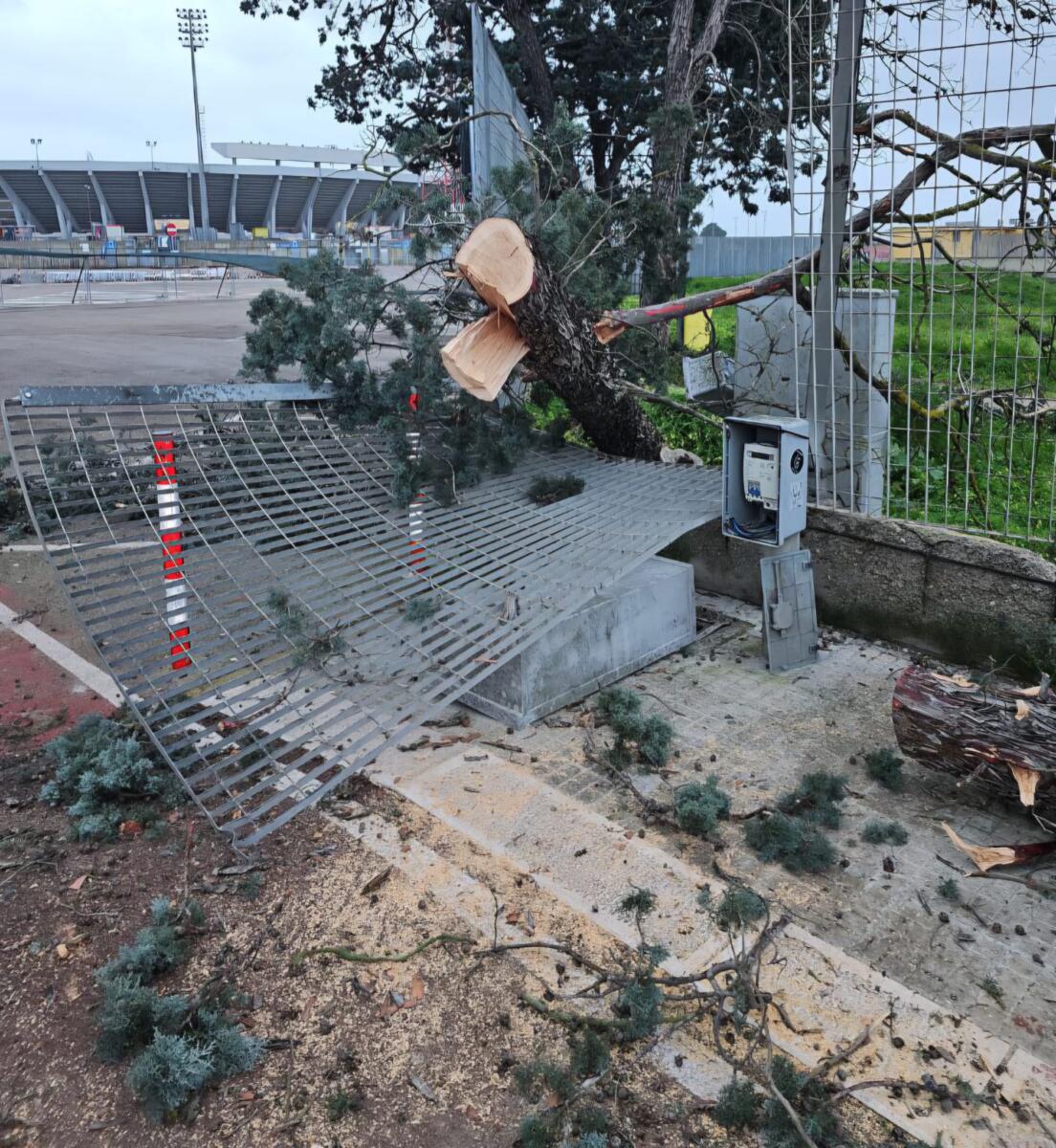 Galleria foto 'Salento nella morsa dello Scirocco, raffiche di burrasca e alberi abbattuti nel Leccese: città blindate – FOTO' - foto 1