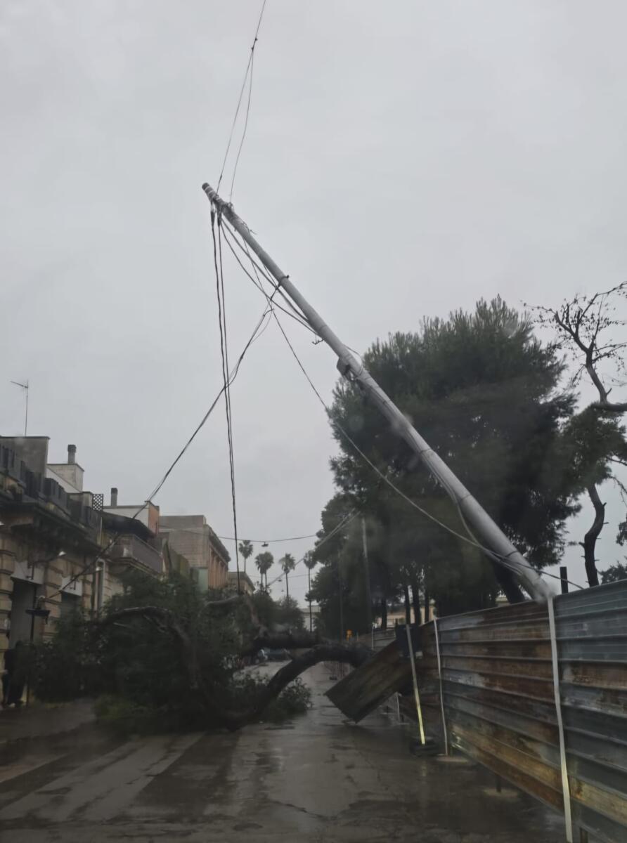 Galleria foto 'Salento nella morsa dello Scirocco, raffiche di burrasca e alberi abbattuti nel Leccese: città blindate – FOTO' - foto 8