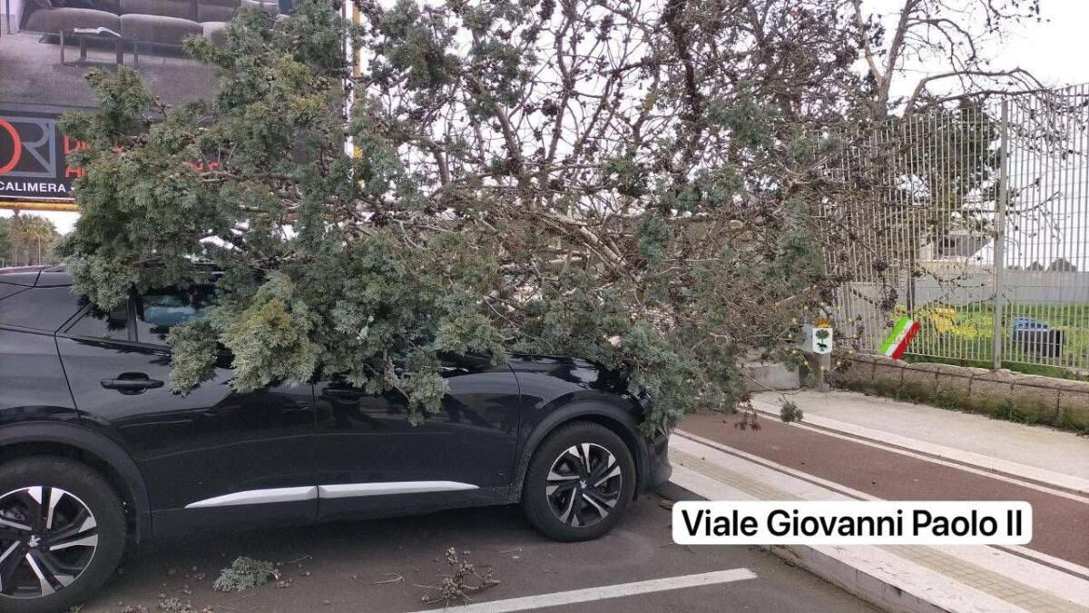 Galleria foto 'Salento nella morsa dello Scirocco, raffiche di burrasca e alberi abbattuti nel Leccese: città blindate – FOTO' - foto 3