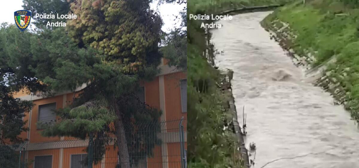 Galleria foto 'Andria, crollano intonaci dalla Cattedrale e alberi in strada: monitorato il canalone Ciappetta-Camaggio – VIDEO' - foto 1