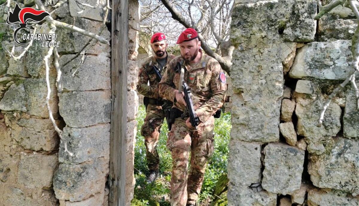 Assalto al portavalori nel Brindisino, al setaccio le campagne lungo la Ss 613: faro su Campo Panareo – VIDEO Assalto al portavalori nel Brindisino, al setaccio le campagne lungo la Ss 613: faro su Campo Panareo – VIDEO