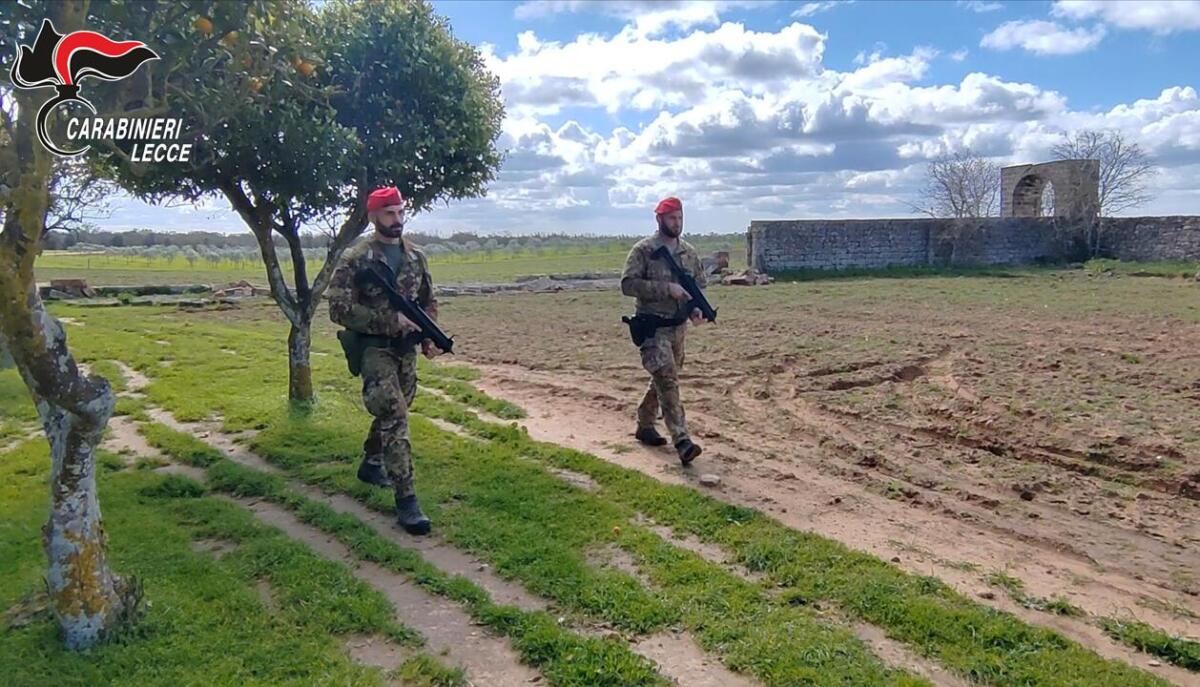 Assalto al portavalori nel Brindisino, al setaccio le campagne lungo la Ss 613: faro su Campo Panareo – VIDEO Assalto al portavalori nel Brindisino, al setaccio le campagne lungo la Ss 613: faro su Campo Panareo – VIDEO