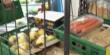Spreco alimentare, Italia maglia nera in Europa: ogni persona butta oltre mezzo chilo di cibo a settimana