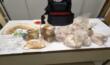 San Severo, in casa ha 9 kg di eroina e 58mila euro: arrestata. La droga destinata al “mercato” abruzzese