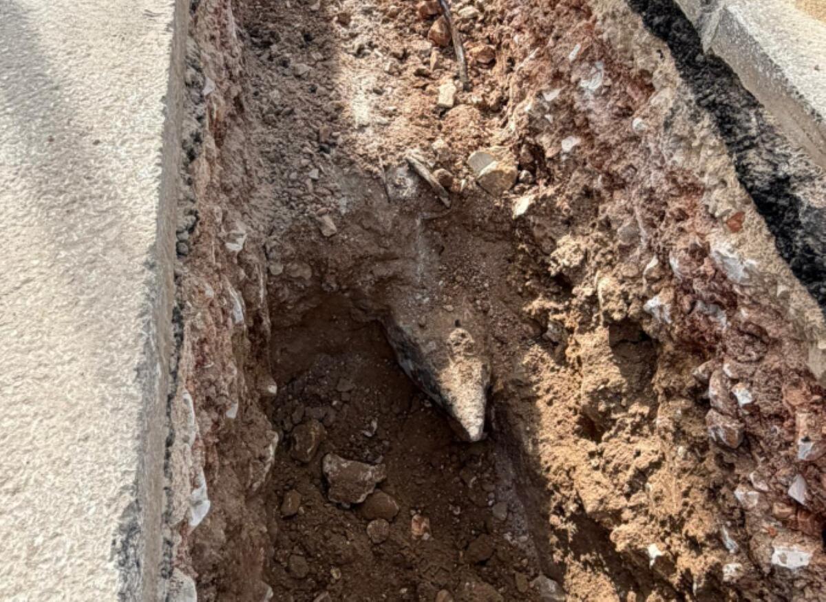Scavi a Foce Varano, spunta un presunto ordigno bellico: viale Uria isolato, allertati gli artificieri – FOTO Scavi a Foce Varano, spunta un presunto ordigno bellico: viale Uria isolato, allertati gli artificieri – FOTO