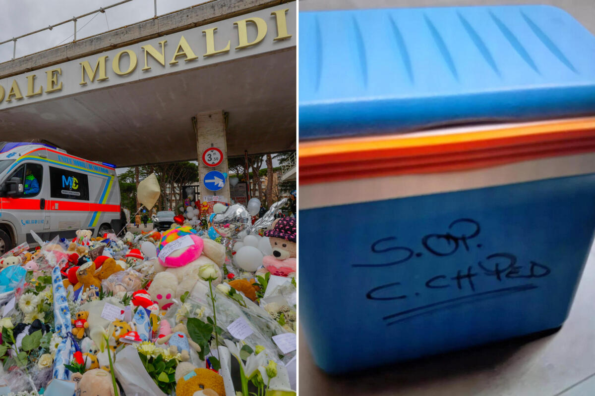 Galleria foto 'Morte del piccolo Domenico, il cuore trasportato in un frigo di plastica: il contenitore sequestrato dai Nas' - foto 1