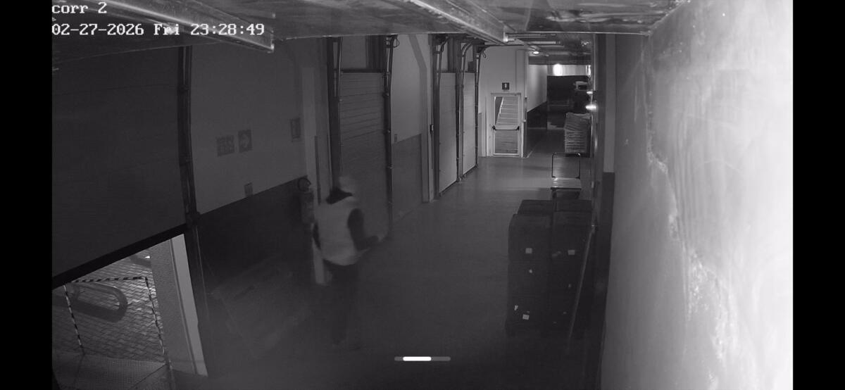 Foggia, furto nella notte nello stabilimento della Ladisa Ristorazione: i ladri ripresi dalle telecamere – FOTO Foggia, furto nella notte nello stabilimento della Ladisa Ristorazione: i ladri ripresi dalle telecamere – FOTO