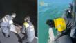 Pescatori di frodo lungo le coste del Gargano, sequestrati duemila ricci di mare e cinque chili di novellame
